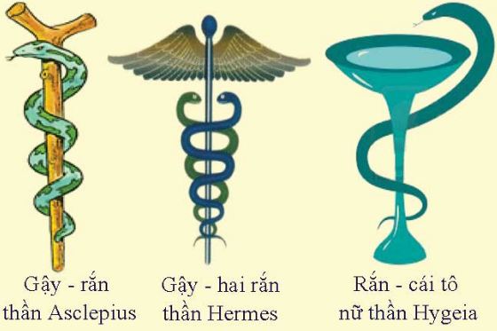 Năm Ất Tỵ - 2025 nói chuyện rắn